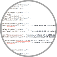 Colocalization Macro